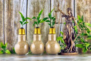 Bioconomics: What aren’t we asking